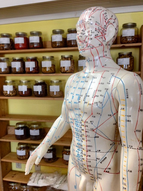 Aghi e erbe della medicina tradizionale cinese